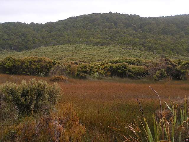 steward island 009.jpg